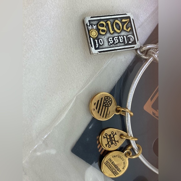 Alex and Ani Class of 2018 Two Tone EWB Rafaelian Silver Charm Bangle Bracelet - Picture 3 of 5